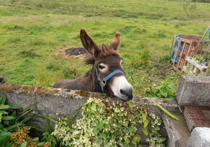 ベッドアンドブレックファースト Crosswinds