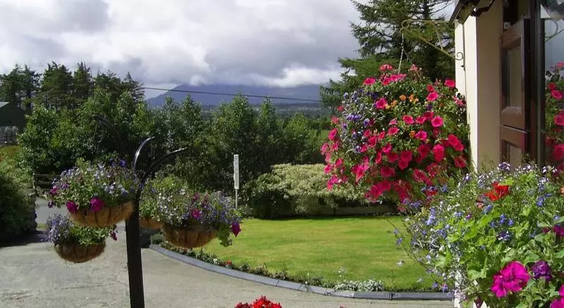 Hilton Heights B&b