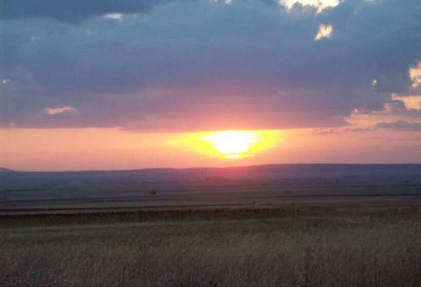 فندق Hostal Las Grullas