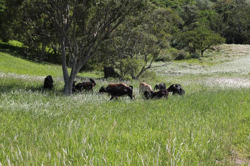 Hotel Kentington Resort