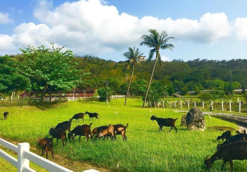 Hotel Kentington Resort