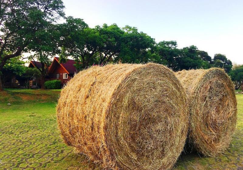 Hotel Kentington Resort