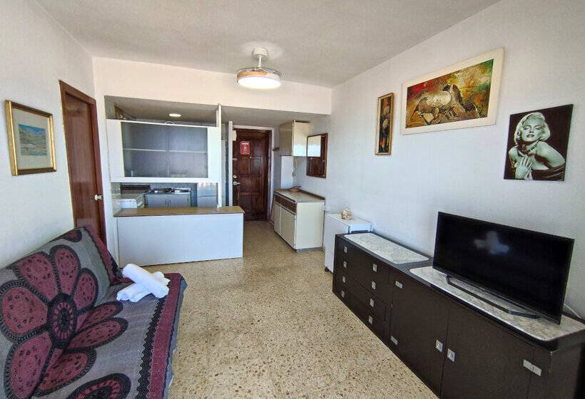 Apartamentos Gandía Primera Línea de Playa 3000