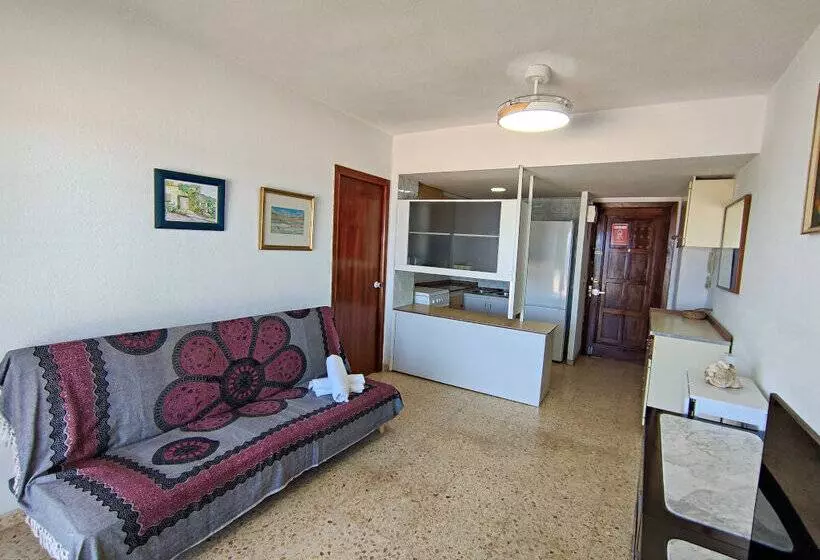 Apartamentos Gandía Primera Línea de Playa 3000