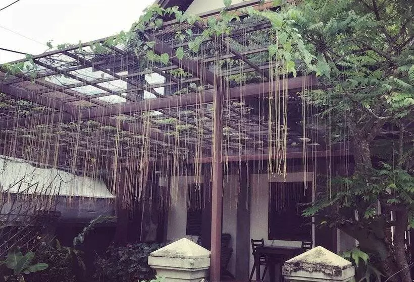 هتل Ancient Luang Prabang