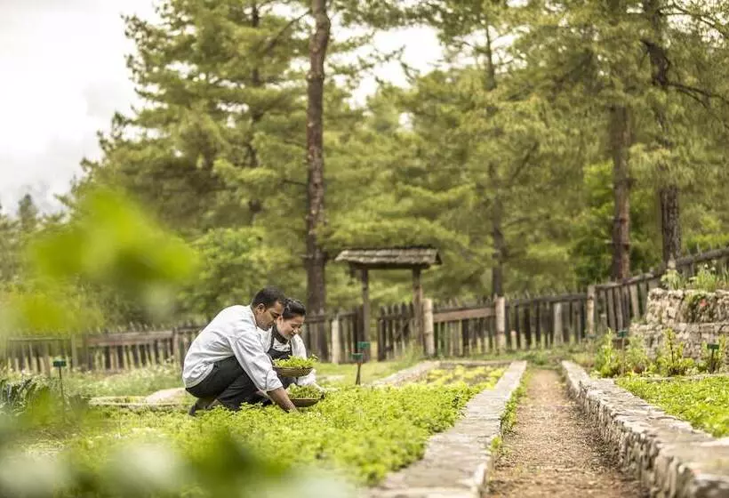 هتل Como Uma Paro