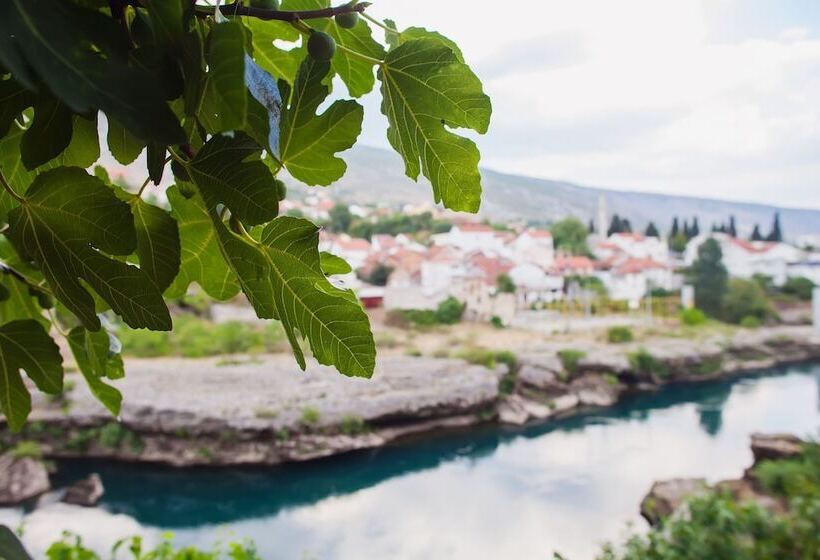 هتل Guest House City Star