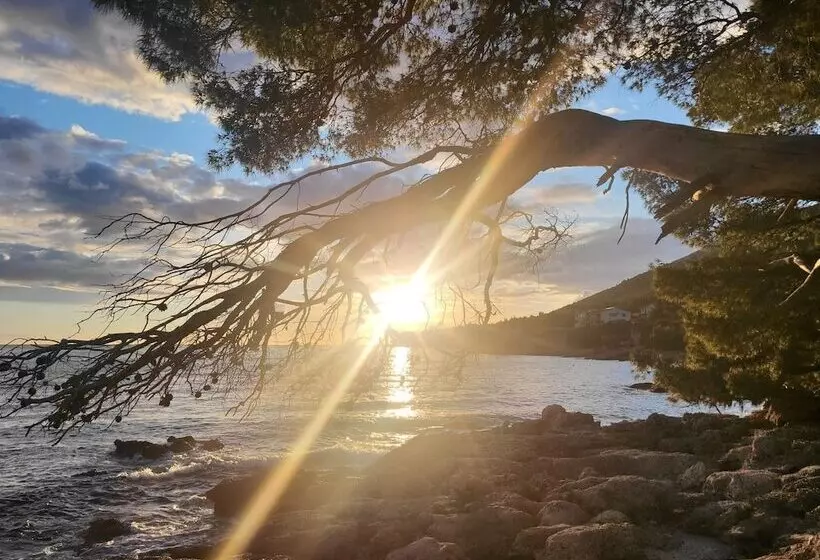 Hotelli Plava Laguna