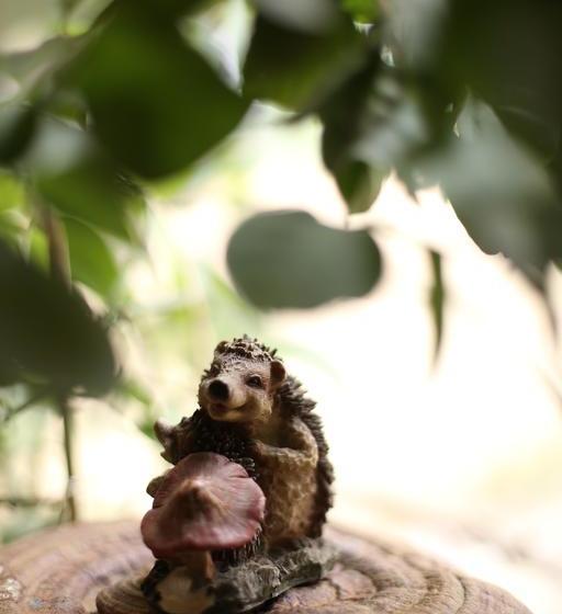 Hotel Harbin Kazy Int L Youth Hostel