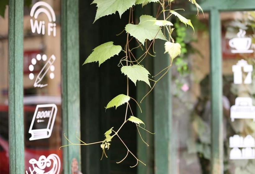Hotel Harbin Kazy Int L Youth Hostel
