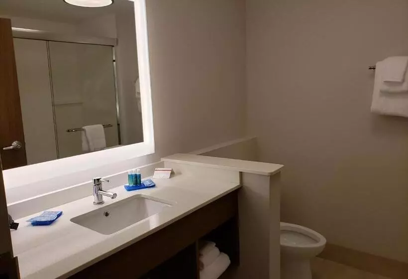 Hotelli Holiday Inn Express   Macon North, An Ihg