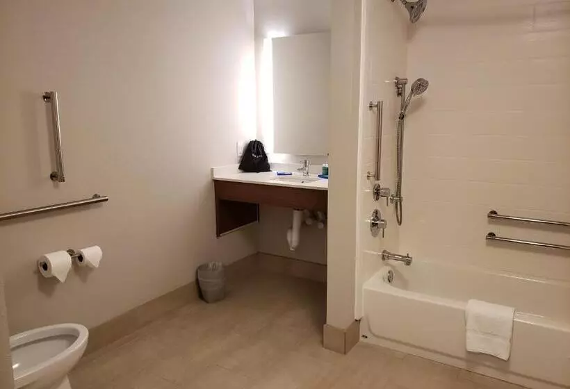 Hotelli Holiday Inn Express   Macon North, An Ihg