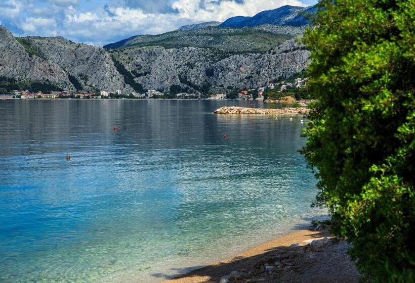 فندق Nemira Sunny Apartments