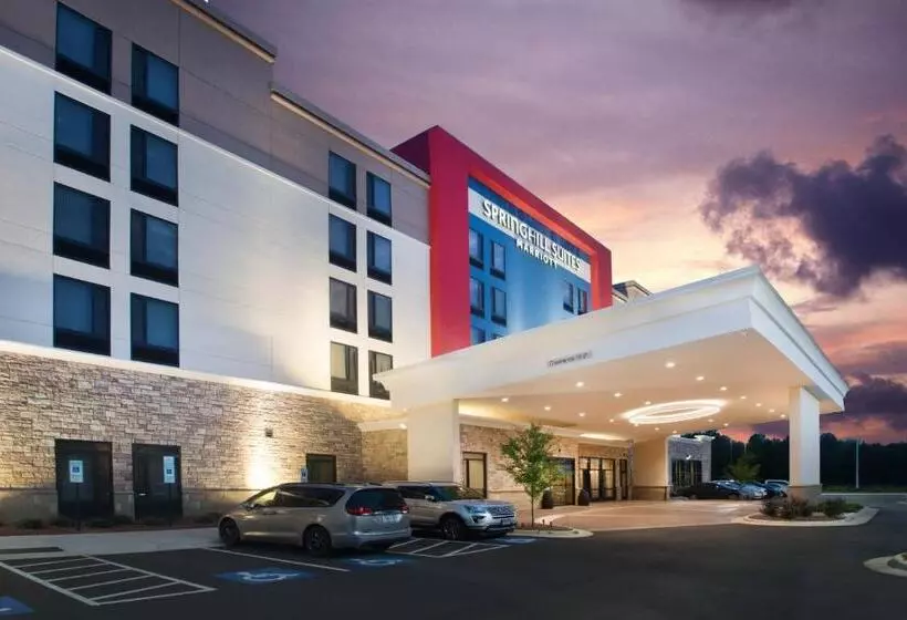 ホテル Springhill Suites By Marriott Fayetteville Fort Liberty