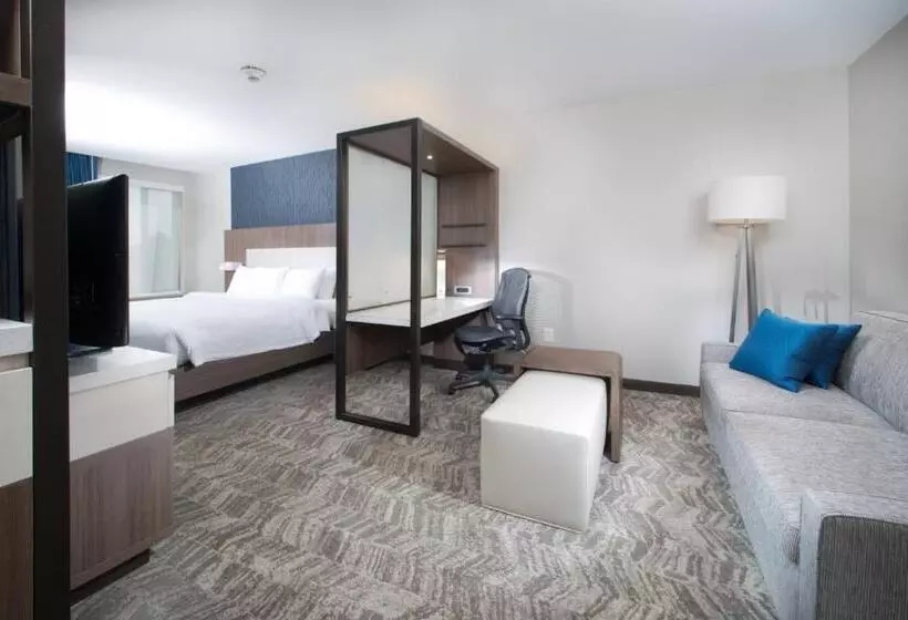 ホテル Springhill Suites By Marriott Fayetteville Fort Liberty
