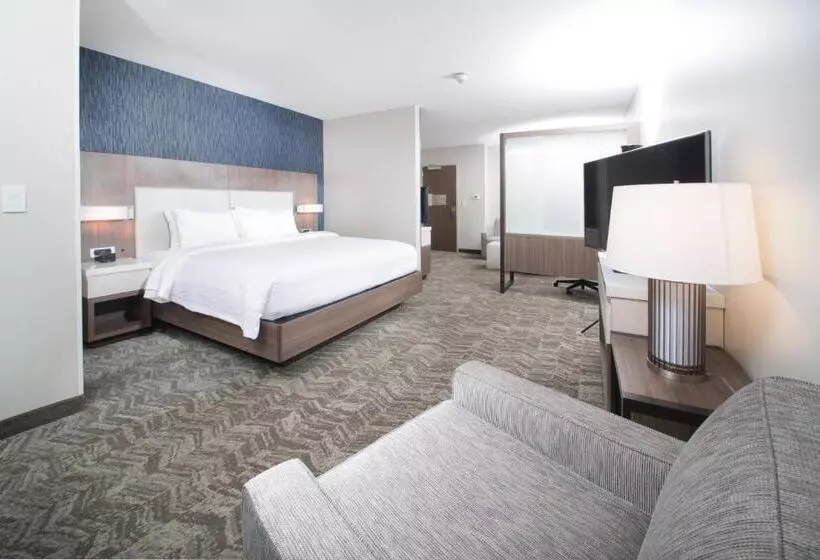 ホテル Springhill Suites By Marriott Fayetteville Fort Liberty