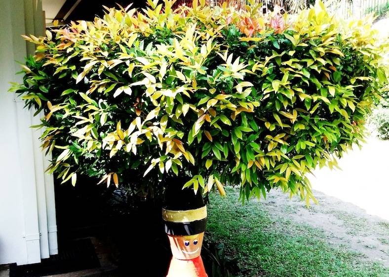 Villas By Eco Hotel Batangas