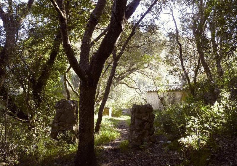 호텔 Agroturismo Can Torna