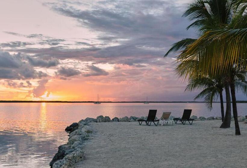 호텔 Dolphin Point Villas