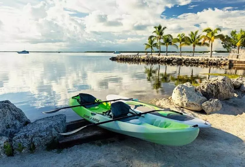 هتل Dolphin Point Villas