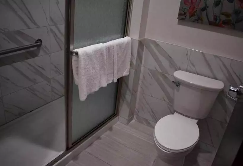 هتل Grand Villa Inn & Suites   Humble