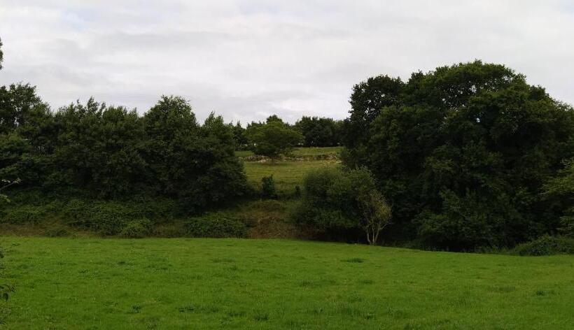 Отель Hospedaje Octavio