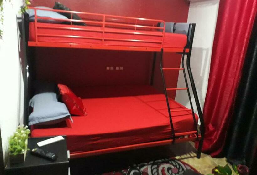 ホテル Hostal Mayor