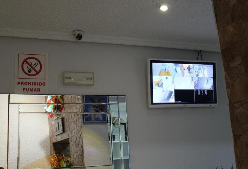 ホテル Hostal Mayor