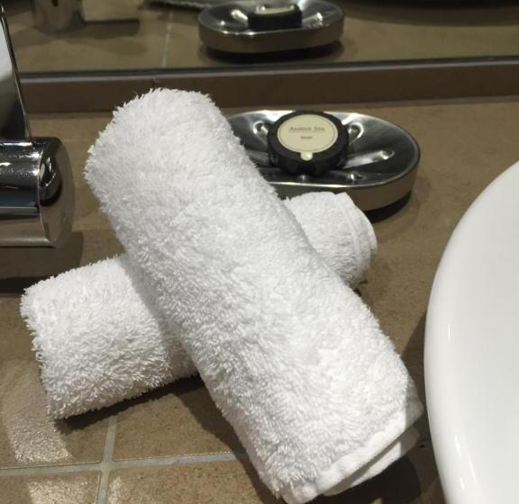 هتل Le Porche De Sarlat