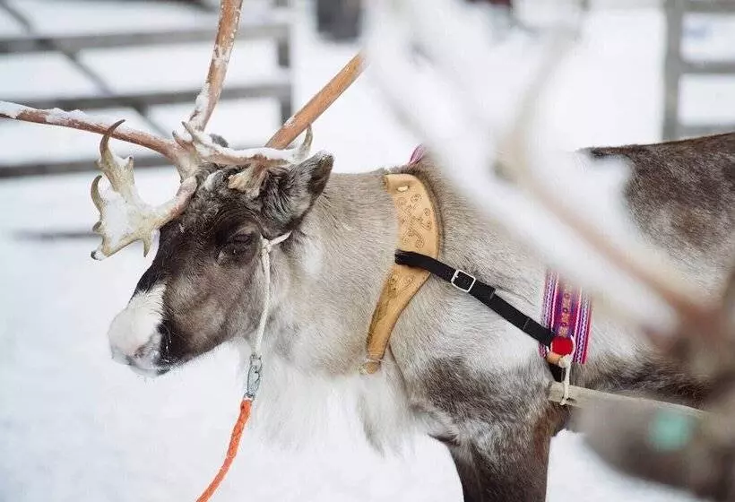 ホテル Villa Virpi