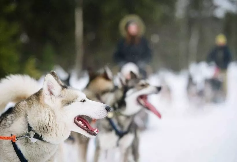 ホテル Villa Virpi