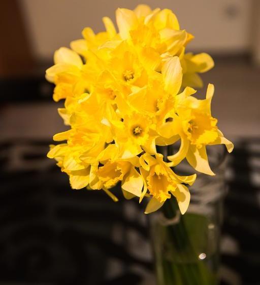 בית מלון כפרי Ozone Private Rooms