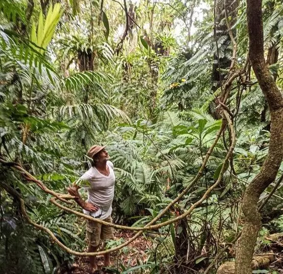 ホテル Sarinbuana Eco Lodge