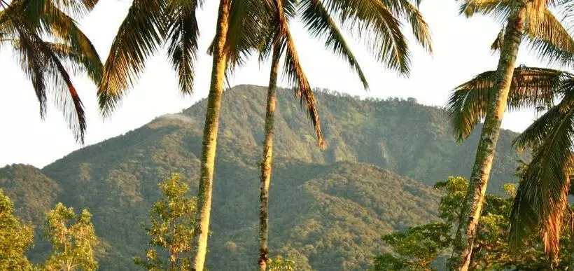 ホテル Sarinbuana Eco Lodge