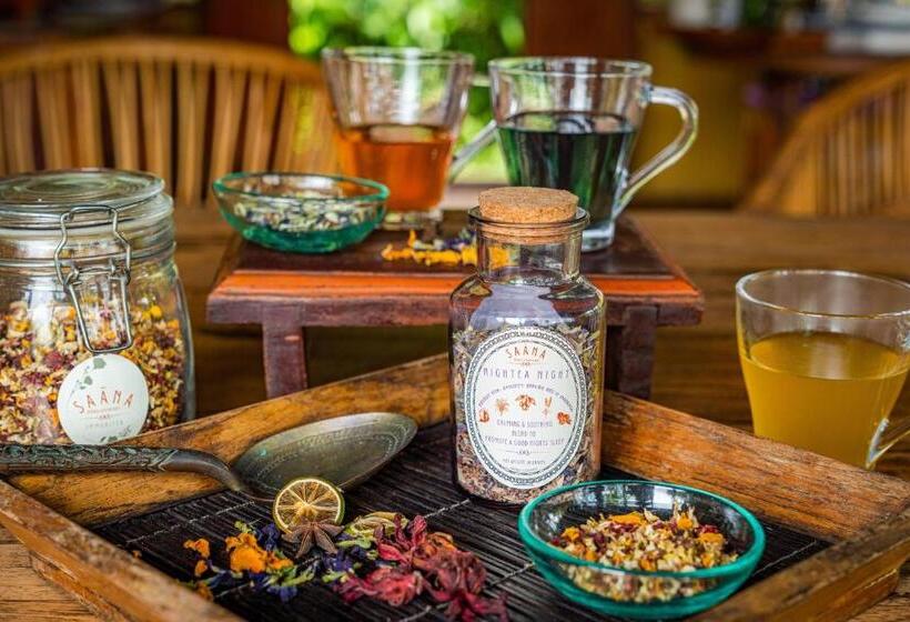 Отель Sarinbuana Eco Lodge