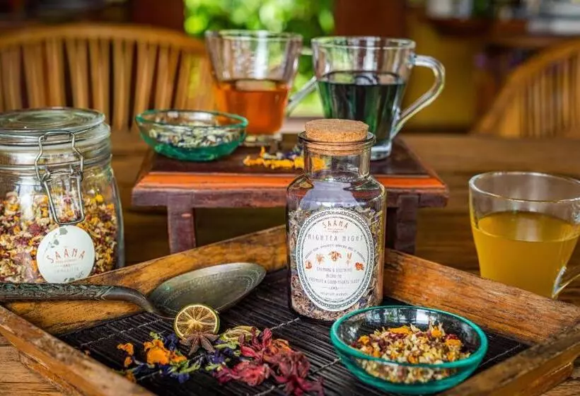 ホテル Sarinbuana Eco Lodge