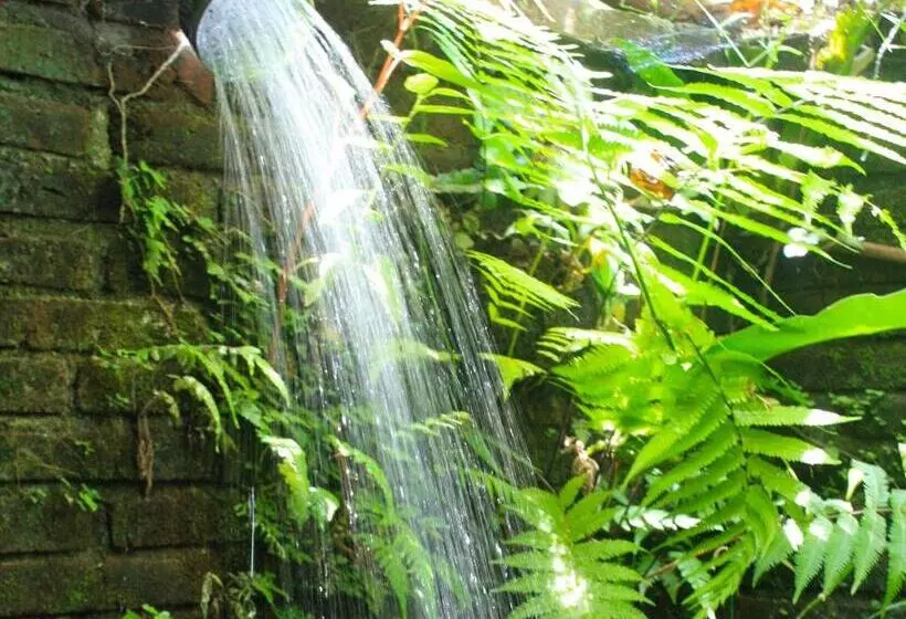 ホテル Sarinbuana Eco Lodge