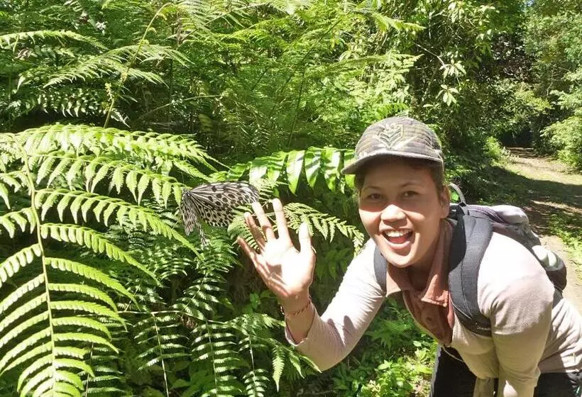 ホテル Sarinbuana Eco Lodge