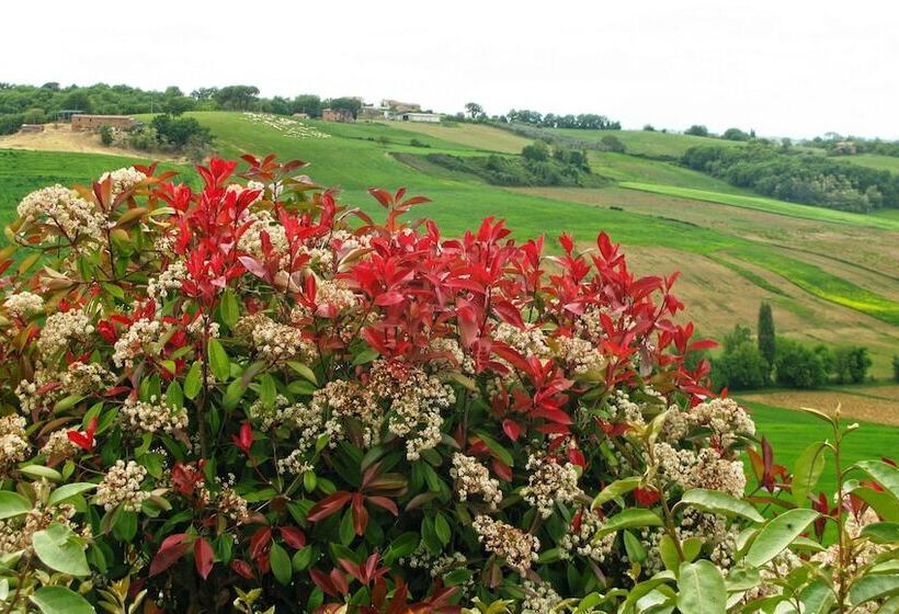 호텔 Agriturismo Santa Margherita