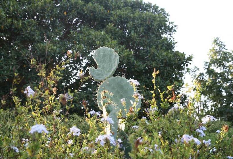 Отель Villa Carlotta Resort