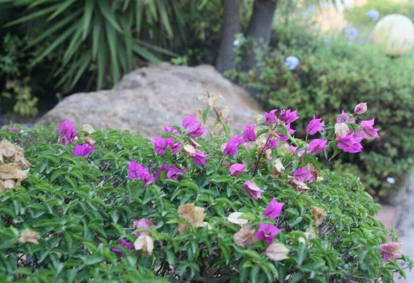 Отель Villa Carlotta Resort