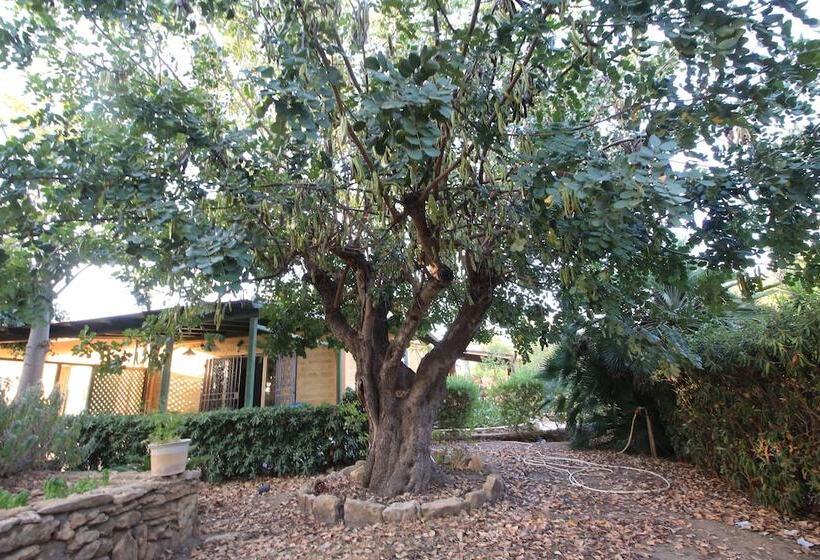 Отель Villa Carlotta Resort