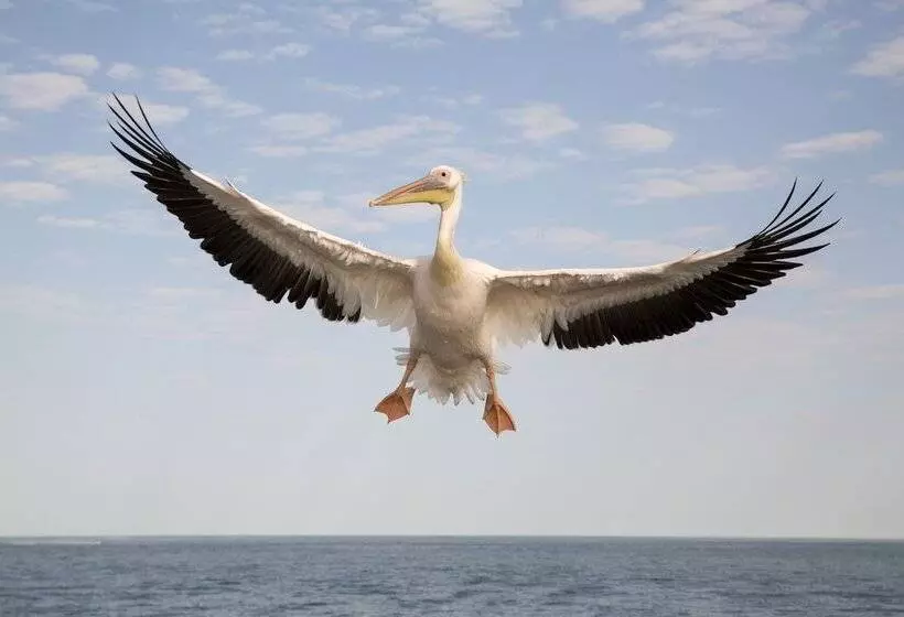 هتل Amjicaja Guesthouse, Tours & Rentals