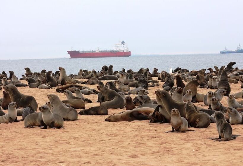 Hotel Amjicaja Guesthouse, Tours & Rentals