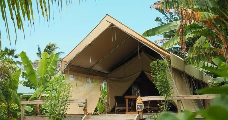 هتل Ikurangi Eco Retreat