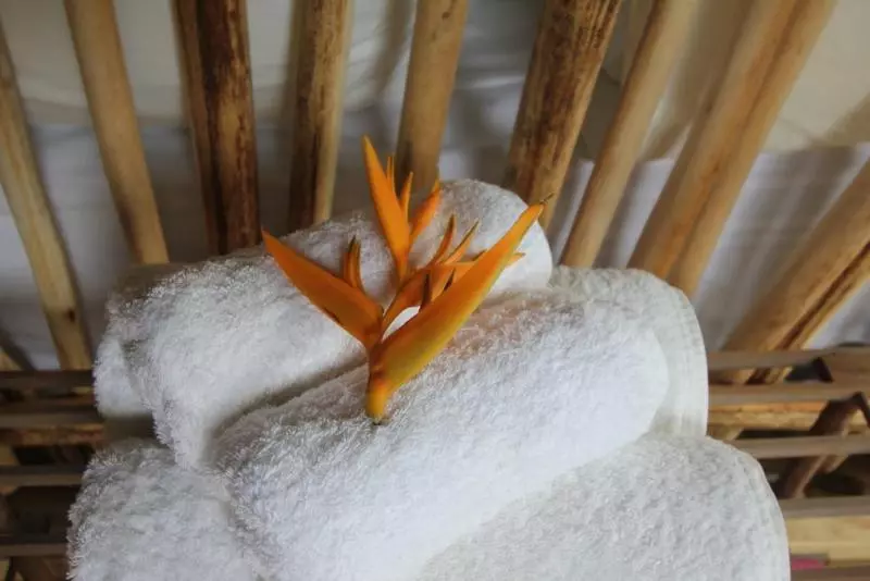 هتل Ikurangi Eco Retreat