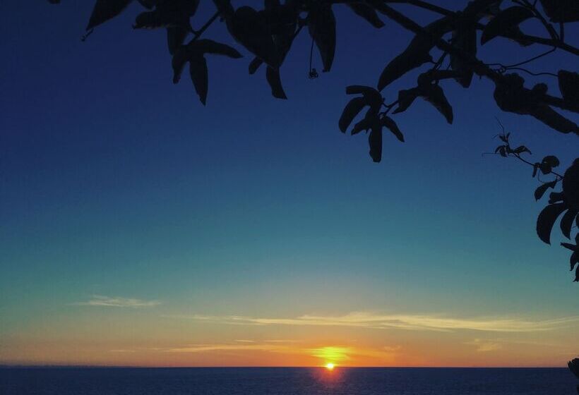 Отель One Love Maktub