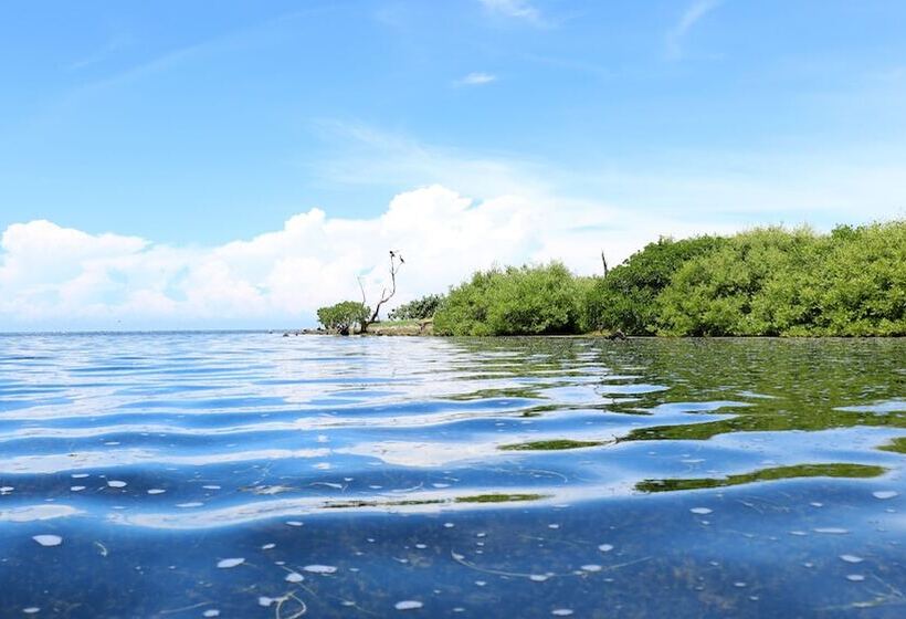 호텔 San Felipe Inn Yucatan