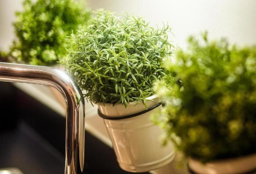 בית מלון כפרי The President