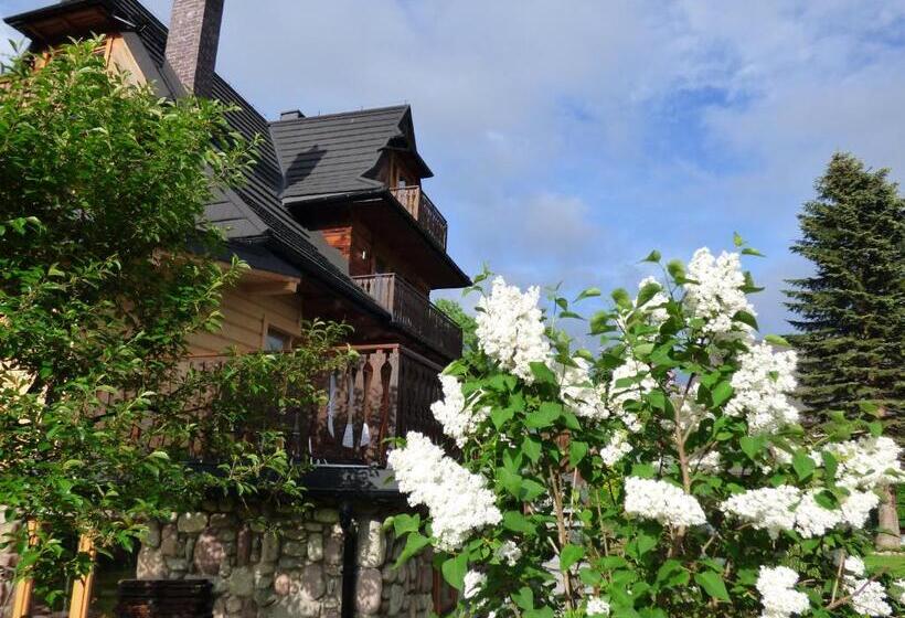 Отель Willa Antałówka